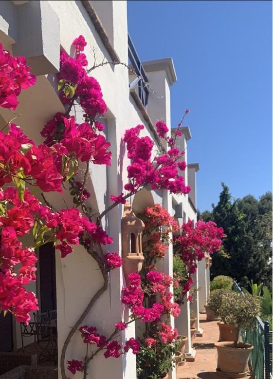 Boutique Hotel Maravilla - Marbella Benahavis Ngoại thất bức ảnh