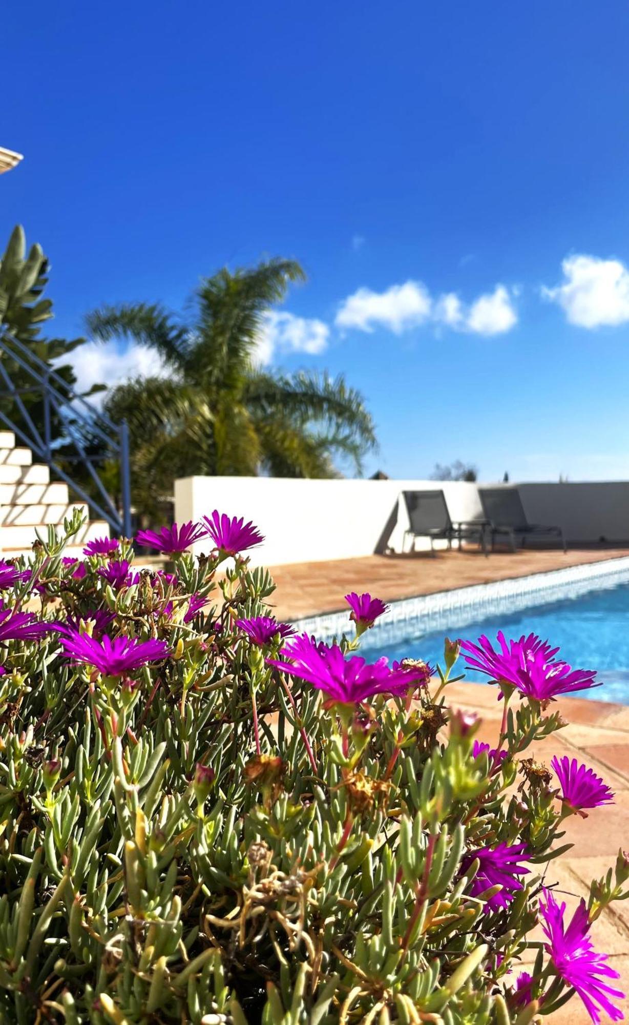 Boutique Hotel Maravilla - Marbella Benahavis Ngoại thất bức ảnh