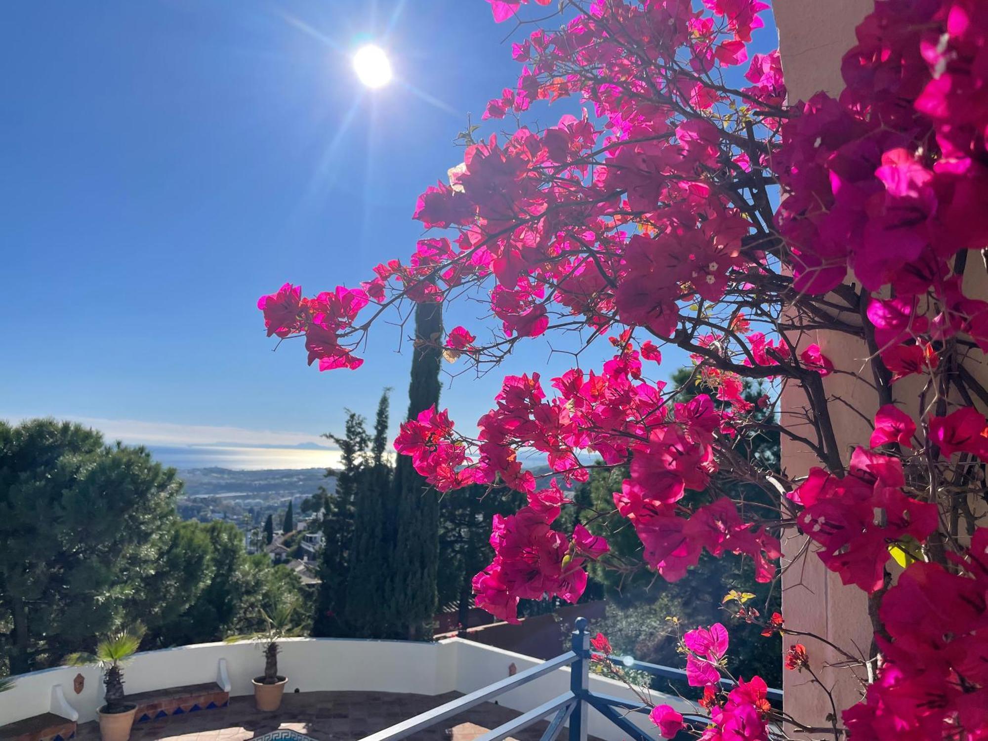 Boutique Hotel Maravilla - Marbella Benahavis Ngoại thất bức ảnh